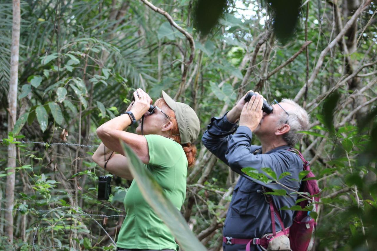 Arua Observacao De Vida Silvestre プライア・ド・フォルテ エクステリア 写真